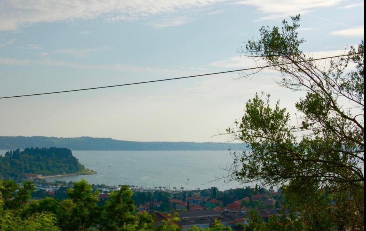 Studios 57 Portoroz Luaran gambar